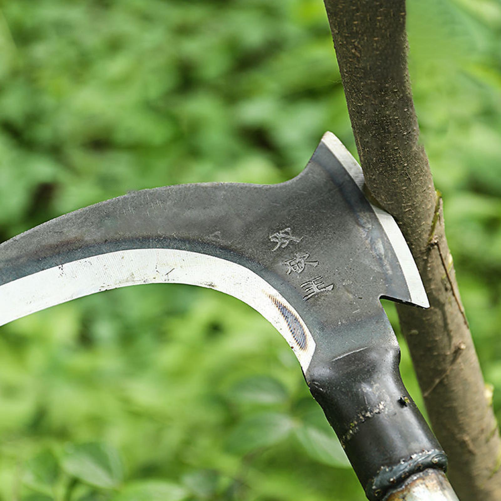 Steel Gardening Axe with Pre H - Woodworking Rasp ulasan dan harga
