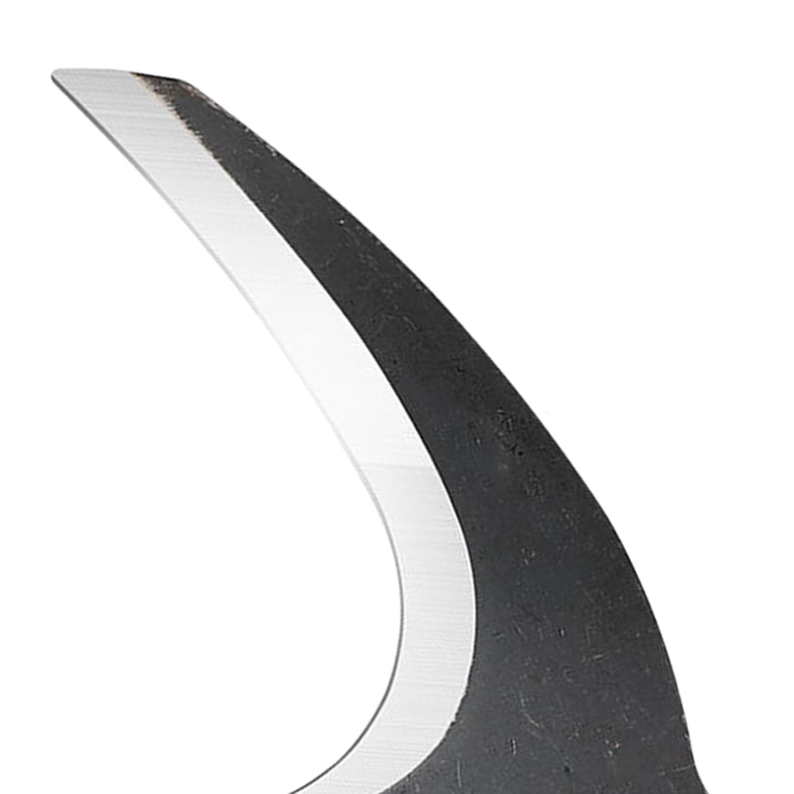Steel Gardening Axe with Pre H - Woodworking Rasp ulasan dan harga